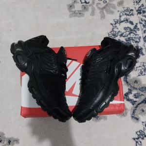 Black Nike Air Max Tn Plus 41 - ● Mycket bra skick, inga stora skdor eller märken.                                                                       ● Storlek: 41                                                            ● Fraktar inom 24h, så att du får paketet så fort som möjligt! 📦                                                                          Vid frågor eller intresse, dm. 😁