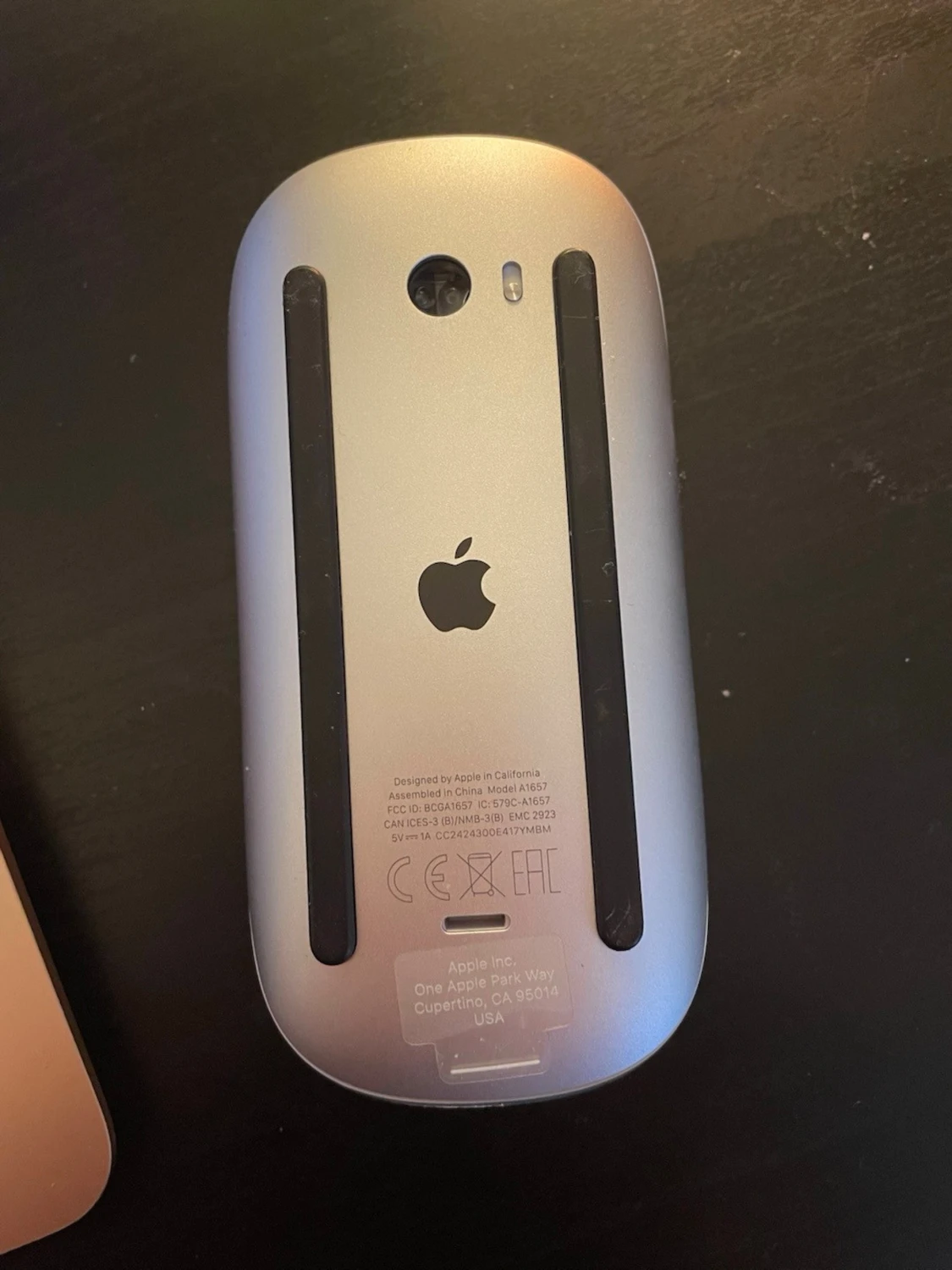 Apple Magic Mouse - 1