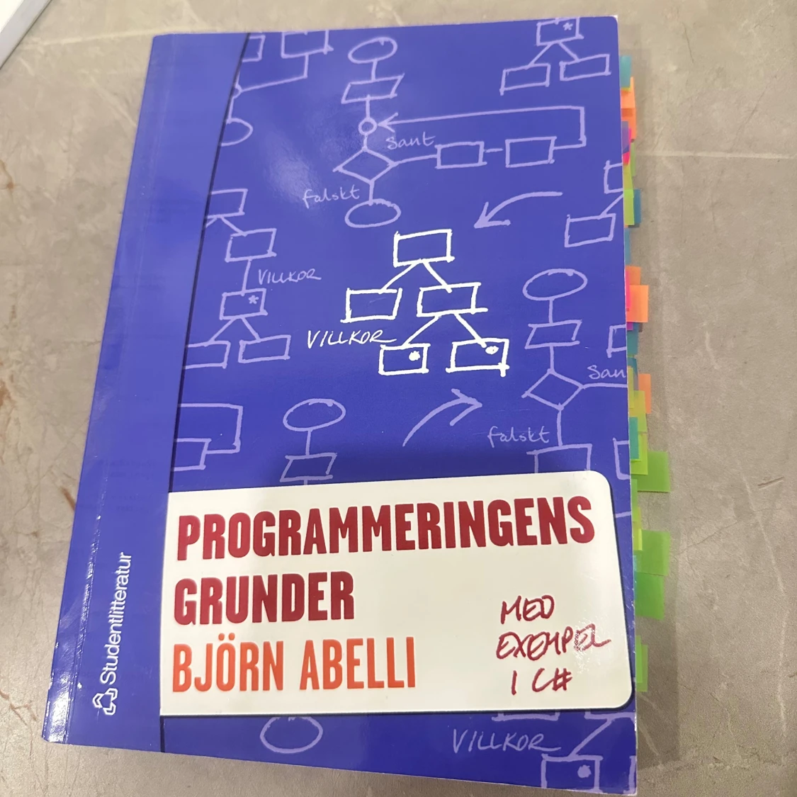 Programmeringens grunder - Björn Abelli - 1
