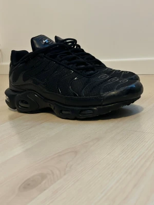 Nike Air Max Tn  - Säljer ett par helsvarta Nike Air Max Plus Tn sneakers med mesh och syntetdetaljer. Skorna har den ikoniska Tn-loggan bak, vågiga linjer på ovandelen och en chunky sula med synliga luftbubblor. Grymma för dig som gillar streetwear och sportig stil.