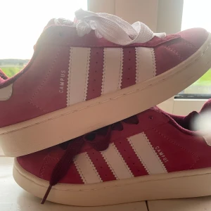 Adidas campus rosa - Knappt använda Adidas campus