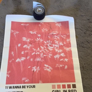 I Wanna Be Your Girlfriend / Girl in Red - Säljer mina Girl in red posters då jag inte har plats med dem på väggarna och lyssnar inte jättemycket på henne. Använda 1 gång original Pris 30kr styck 