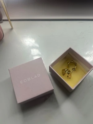Örhängen från Edblad - Säljer ett par trendiga och snygga guldiga örhängen från Edblad med pyramidformade detaljer. Örhängena är i mycket bra skick men skulle rekommendera att byta plupparna!😽💋 Priset kan förhandlas!