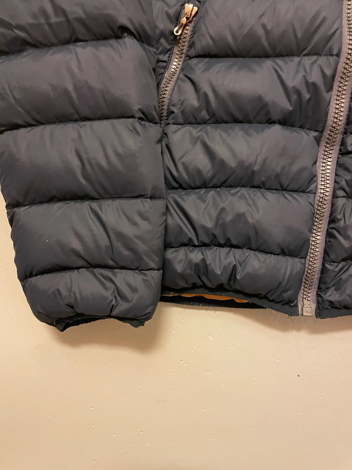 COLMAR DUNJACKA  - 5