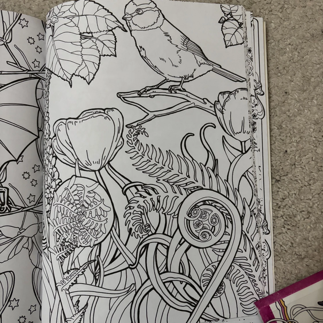 Min drömträdgård - 3