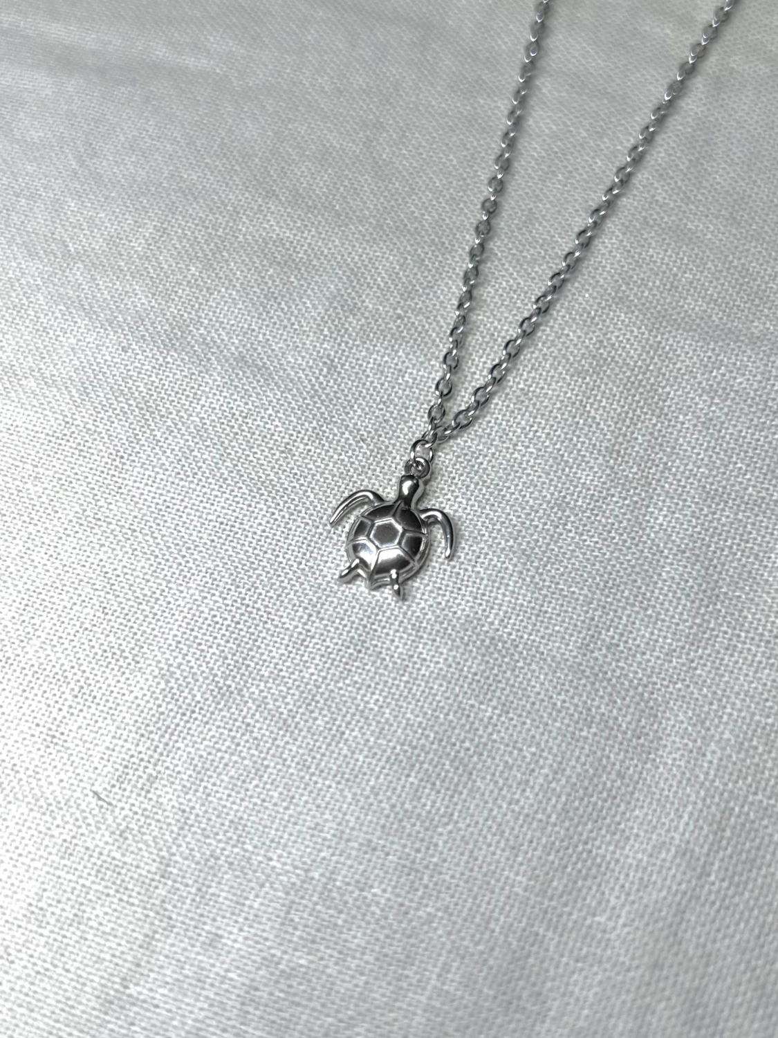 Minimalist Silver Baby Turtle - 1