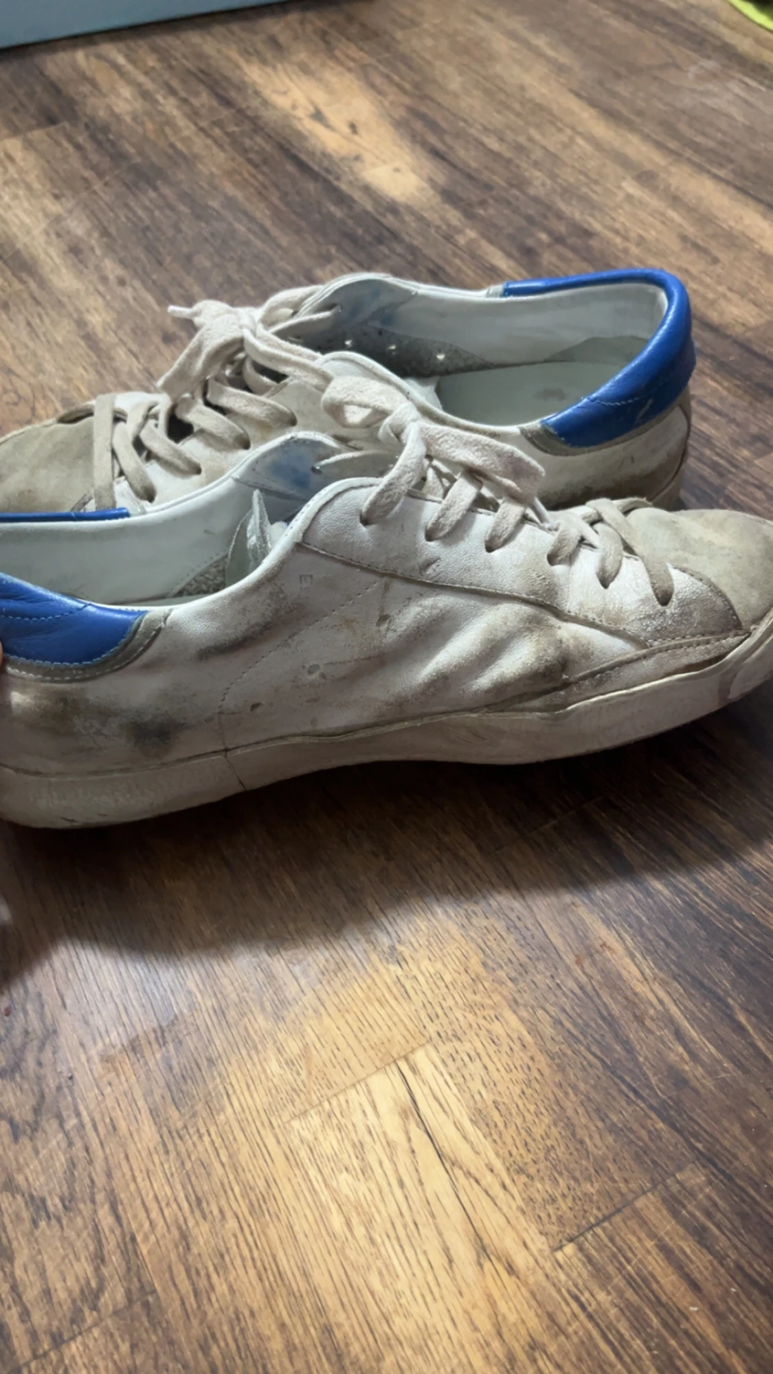 Philippe Model vita sneakers med blå häl - 5