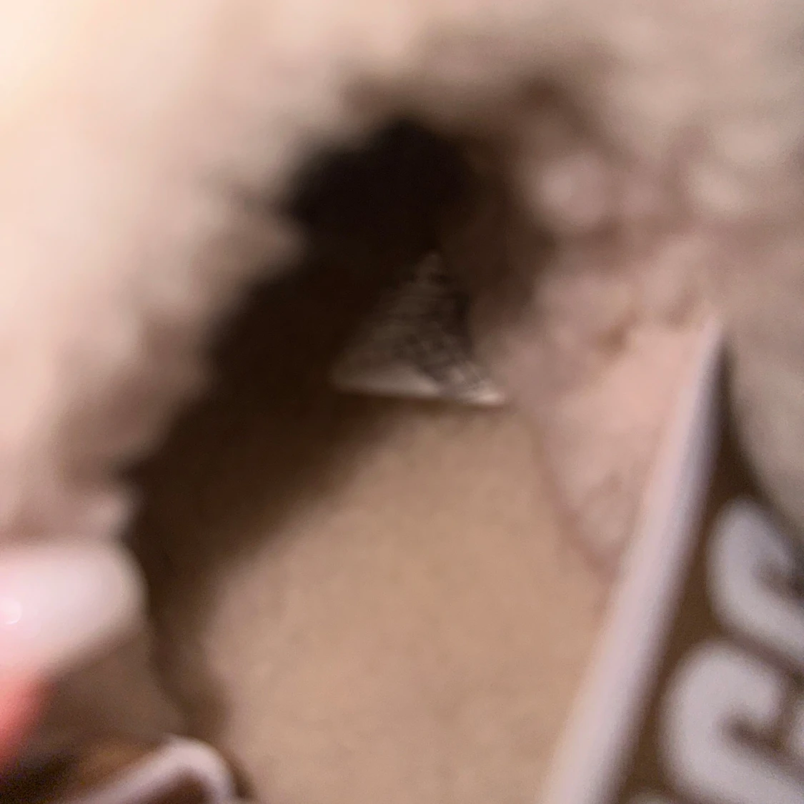 Beiga fluffiga sandaler från UGG - 2