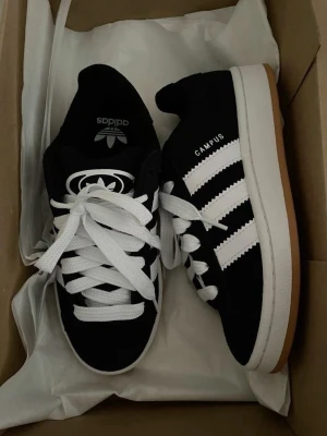 Adidas campus skor - Nya. Använda typ 2-4 gånger kanske