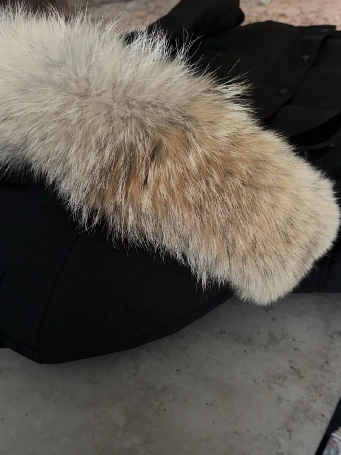  Canada goose Wyndham black label special päls  - 2