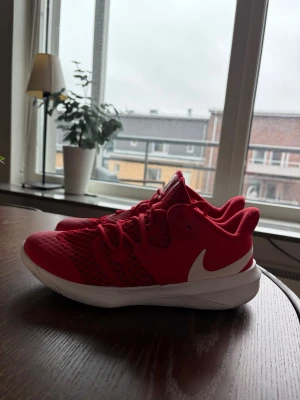 Röda Nike Zoom Hyperspeed Court - Nike Hyperspeed Court i väldigt bra skick. 