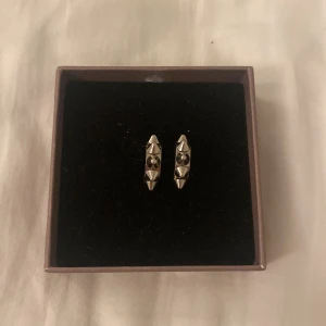 Edbladörhängen nitar - Säljer dessa jättetrendig edbladörhängen i silver då de inte kommer till användning längre❤️❤️ Skriv vid intresse eller tryck på köp💞