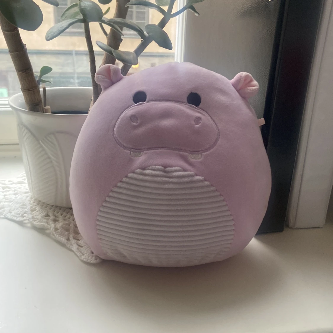 Squishmallow 💞🤭 