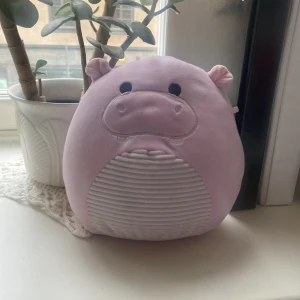 Squishmallow 💞🤭  - Liten squishmallow som ser ut som en gris