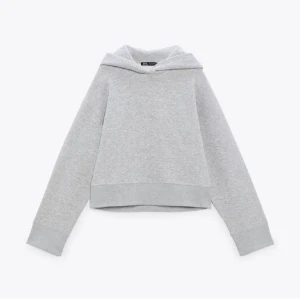 Hoodie zara  - hoodie ifrån zara! Väldigt liten i storleken då den är L men passar mig som är S💗