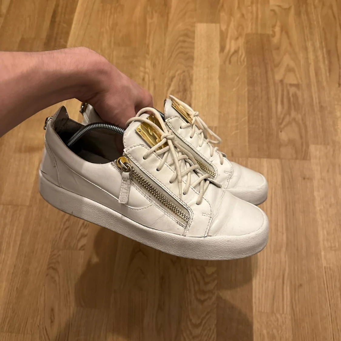Giuseppe zanotti