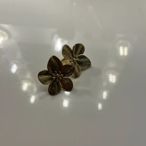 Smycken - Trend örhängen💕