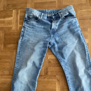 Carrhart Jeans - Pontiac pant