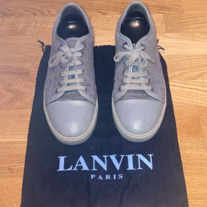 Lanvin  - Lanvin skor storlek 42. Slitna där bak på sidan. Dustbag ingår. byten är ok