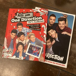 One Direction böcker - 2 stycken 1D böcker (säljer då dem bara ligger i en låda)