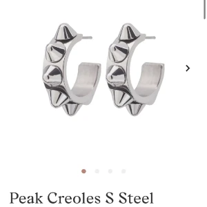 Edblad örhängen  - Taggiga edblads örhängen. Bra skick. 