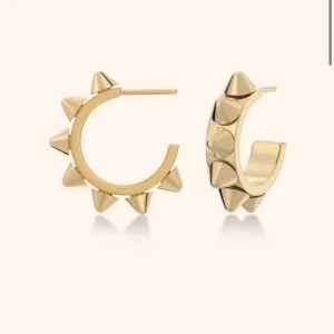 Edblads örhängen  - Super fina örhängen som tyvärr inte kommer till användning då jag ör silver tjej.