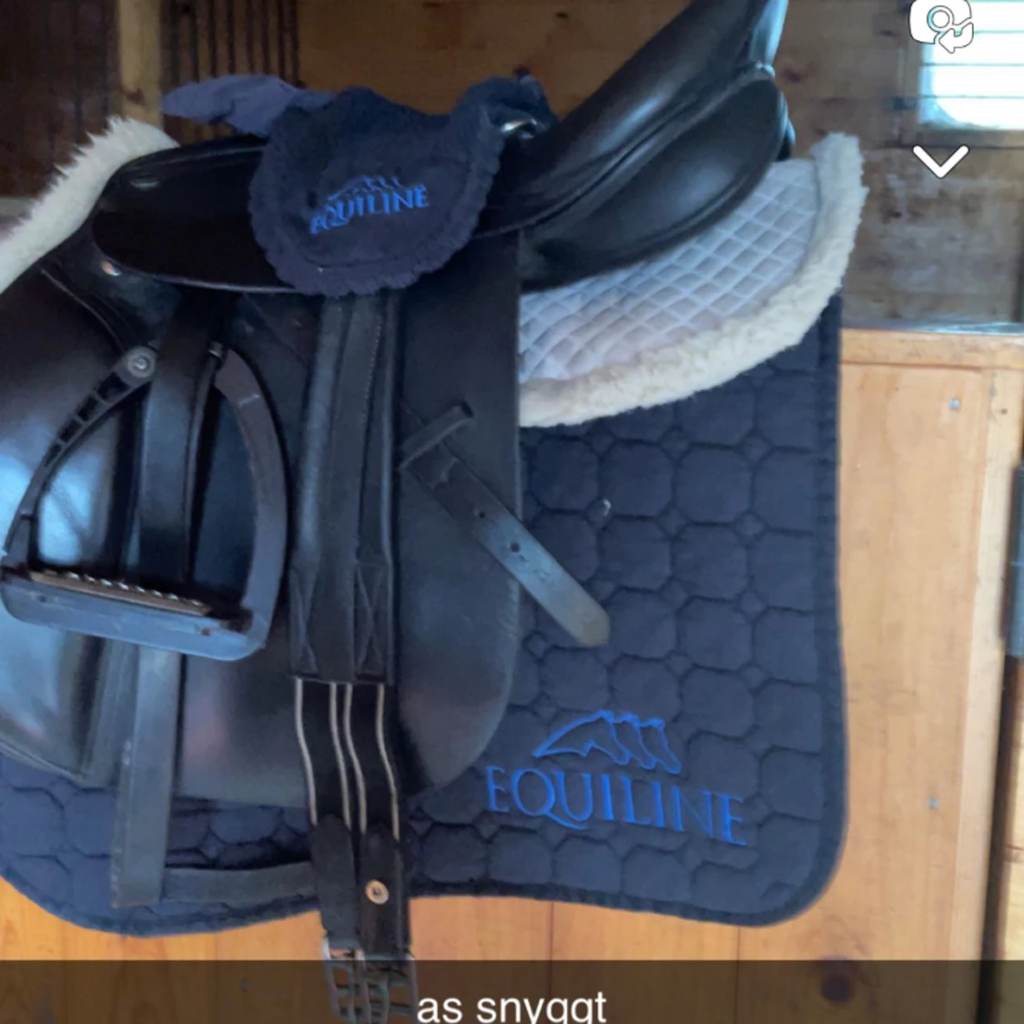 Equiline schabrak & huva