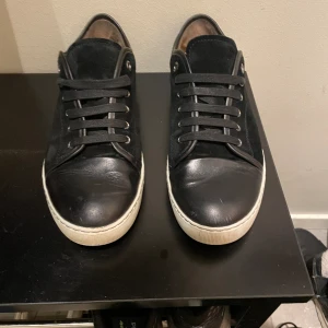 Lanvin skor - Säljer nu mina svarta lanvin skor. Använda cirka 1,5 månad och fortfrande i fint skick. Storlek uk9 (eu 43) men passar även 44. Box och dustbag fås med. Skriv vid fler bilder eller funderingar!