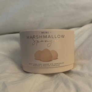 Coco Cosmetics  - Mini marshmallows set, dom här är nog dom bästa svamparna nånsin enligt mig säljs även inte i Sverige så passa på, säljer då jag behöver bli av med saker. Kostar 227kr på beauty bay 💖