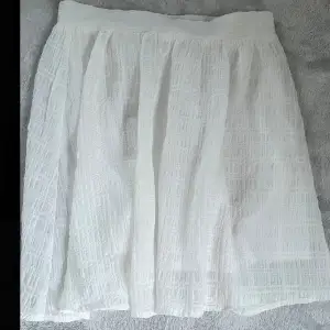 Fin kjol från HM med struktur i materialet. Sitter tajt runt midjan! Har som ”shorts” under så den är inte genomskinlig. Dragkedja på sidan. Aldrig använd! 💕