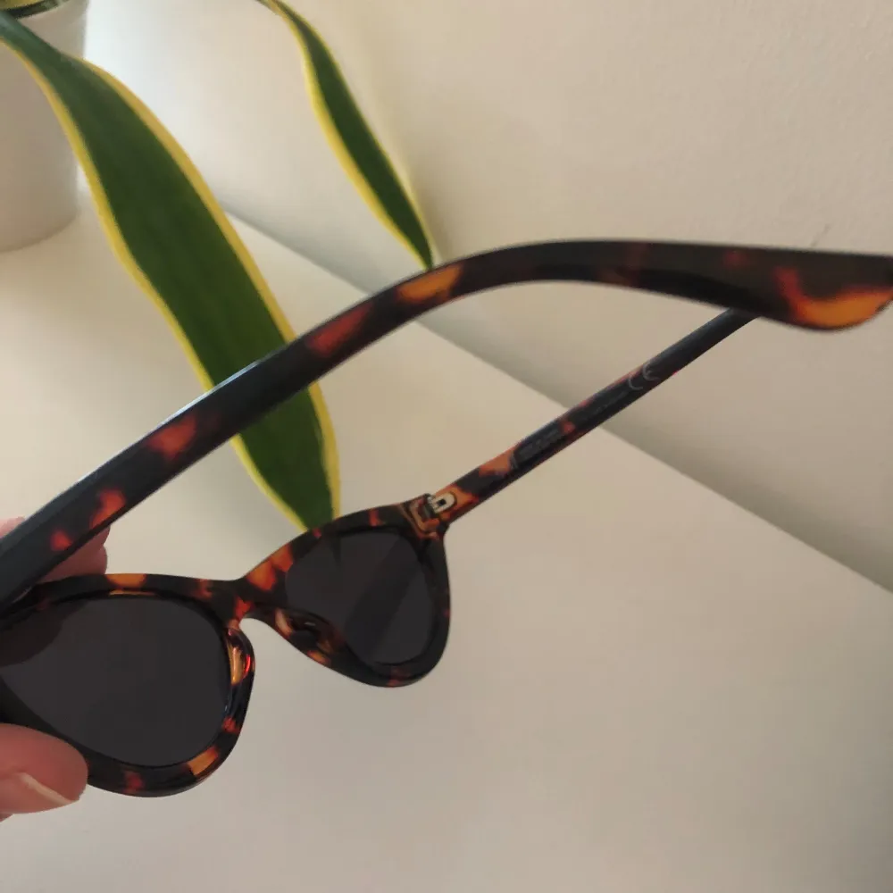 Cateye solglasögon från H&M☀️. Accessoarer.