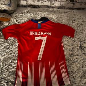 Griezmann tröja  
