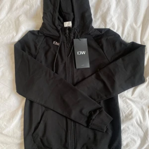 iciw hoodie - iciw