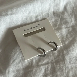 Silverörhängen  - Snygga små silverörhängen från Edblad. Aldrig använda💕