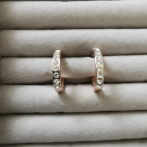 Örhängen i stainless steel med strass  - 1 par örhängen i stainless steel med strass Oanvända Ask medföljer inte Katt finns i hemmet 