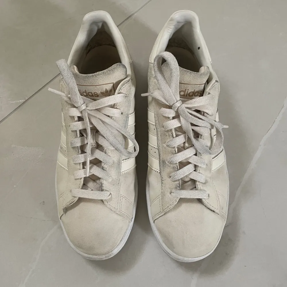 Beige Adidas Campus suede unisex trainers. Skor.