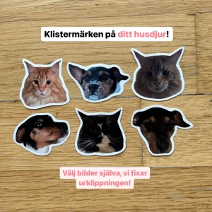 Husdjurs klistermärken  - Få urklippna klistermärken på era husdjur!😍🐾 välj bilder själv så fixar vi resten!  12 kr/styck eller rea vid köp över 10 st! Välj storlek 2-6 cm! 🩷 Frakt 18 kr med frimärke! Annars 29 kr med köp nu! 🎀