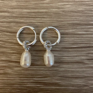 Örhängen  - Säljer dessa söta örhängen från pilgrim, i jättebra skick, nypris 399