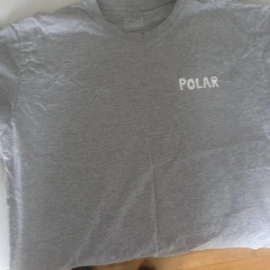 Polar T-shirt  - Storlek L, ganska bra skick, köpt online, pris kan diskuteras 