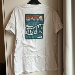 Patagonia t-shirt - Skitball patagonia t-shirt köpte på stadsmissionen Har tyvärr missfärgningar i armhålorna från när jag tvättade med ett blått plagg🥲