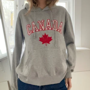 Grå hoodie med tryck - Storlek xs men oversized, bra skick!