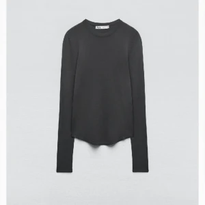 Topp - Jätte fin tunn top från zara. Den är i storlek L men sitter som en s. Något genomskinlig. Använd endast en gång så i mycket bra skick.