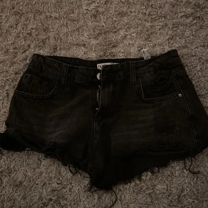 Zara shorts  - Zara shorts i storlek 34, aldrig använda 