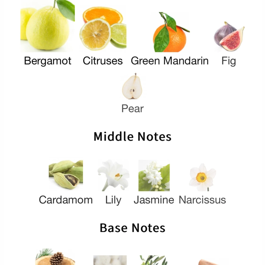 Versace - Versense sample - 91