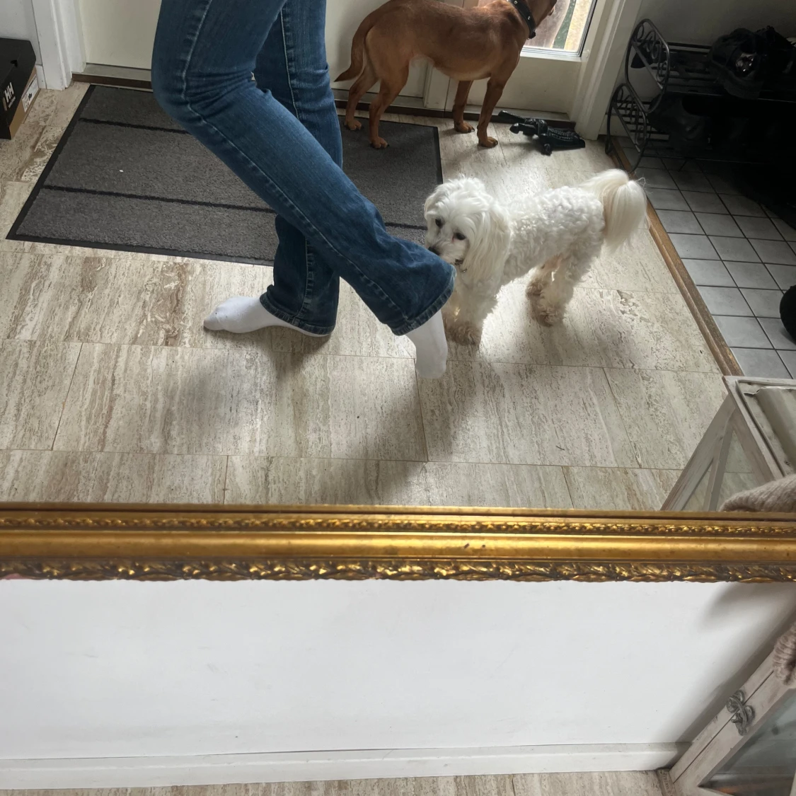 Lågmidjade jeans  - 90