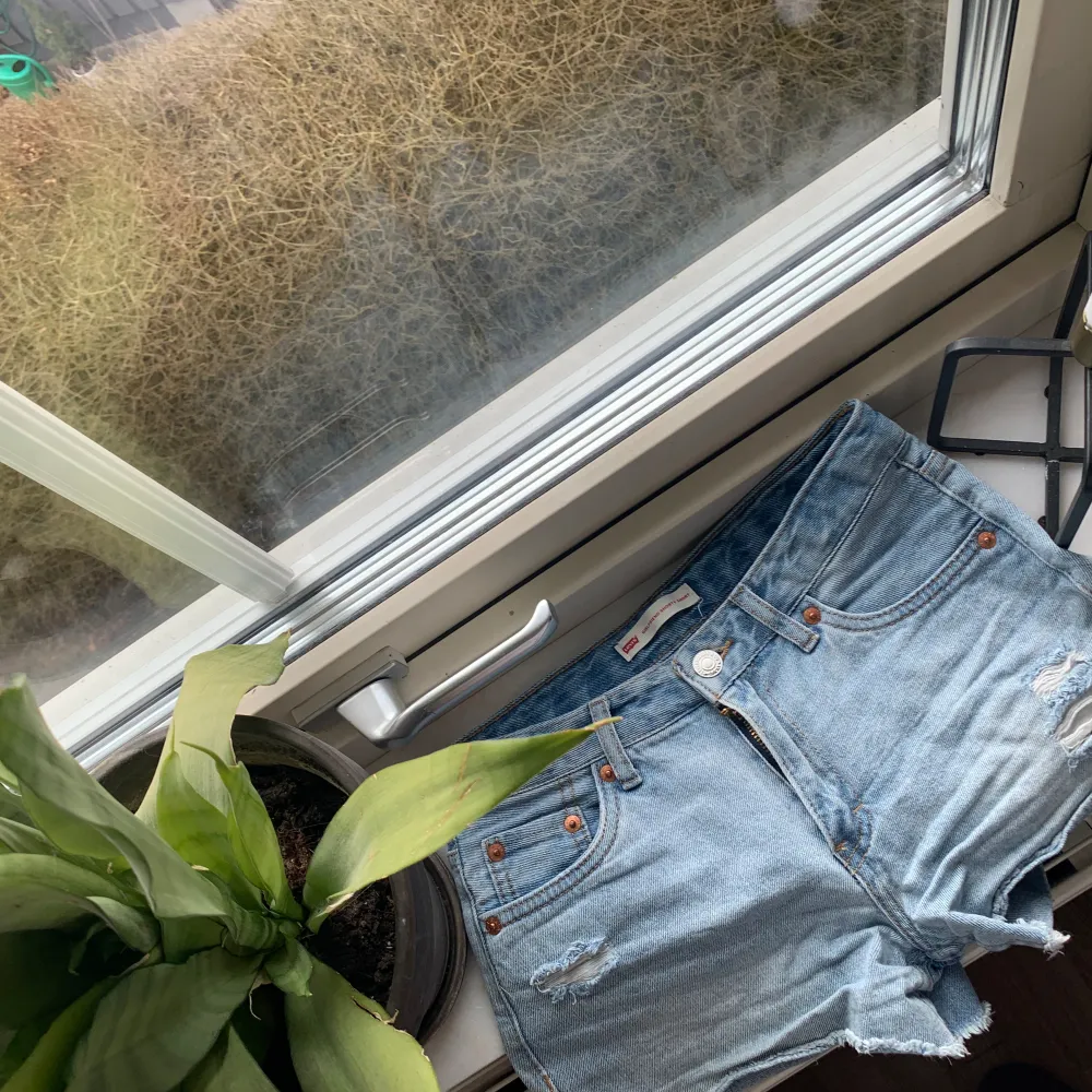  Levis shorts som är i midwaist men passar som lite högre low waist. Köptes på kidsbrandstore för 500 i somras mitt: 300 Strl 152 om man vill ha de lite lösare i benen men 158 om man vill ha tight (pga att jag köpte i års strl) 💘💖. Shorts.