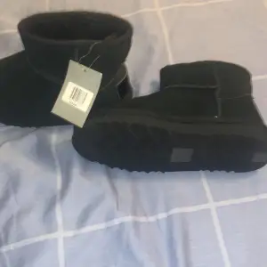 Storlek 36 helt nya uggs, priset kan diskuteras vid snabb.