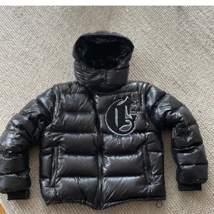 Corvidae jacka - Jacka