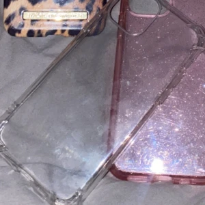 Genomskinligt skal - Fint skick 