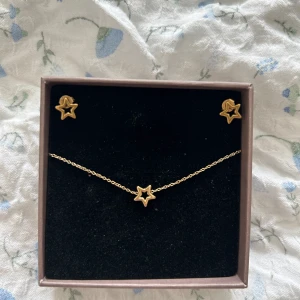 Armband och öronhängen  - Armbandet är helt nytt, öronhängen använda 2 gånger. 